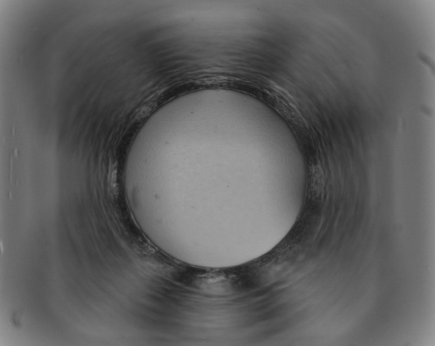 X0000090980267200708301256