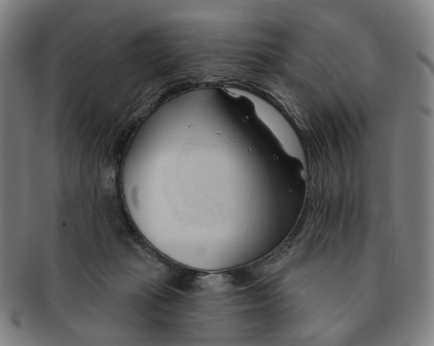 X0000090980269200708301256