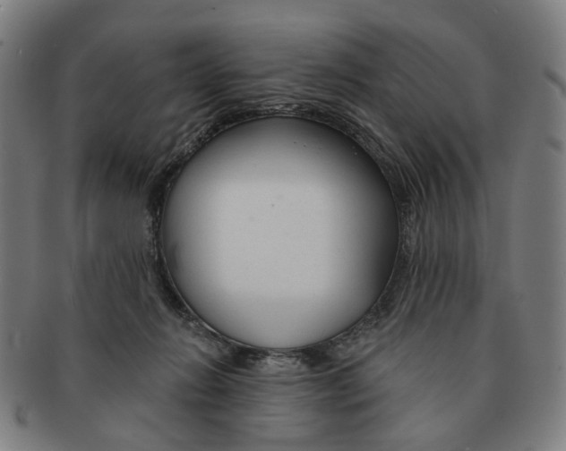 X0000090980270200708301256