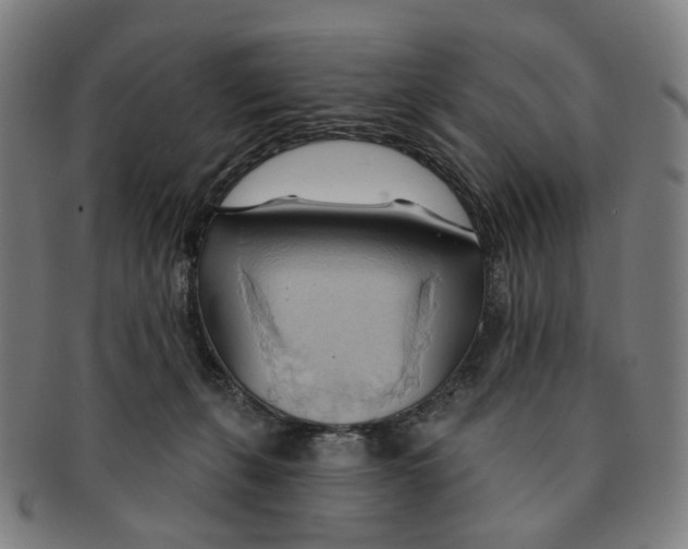 X0000090980271200708301256