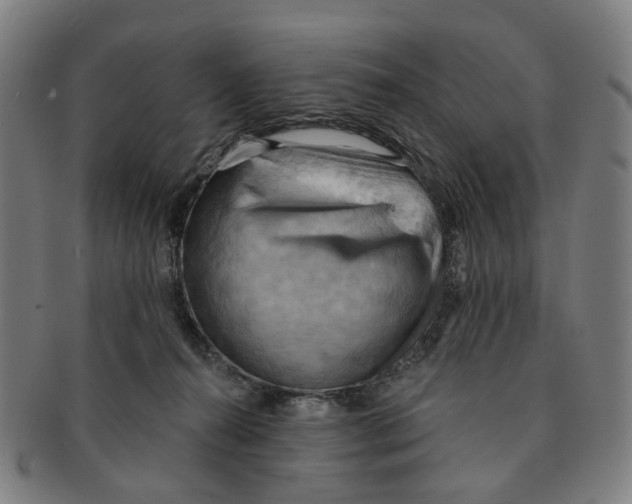 X0000090980272200708301256
