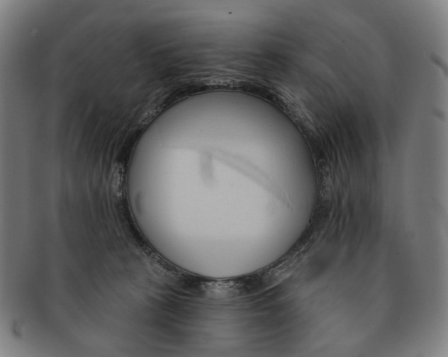 X0000090980273200708301256