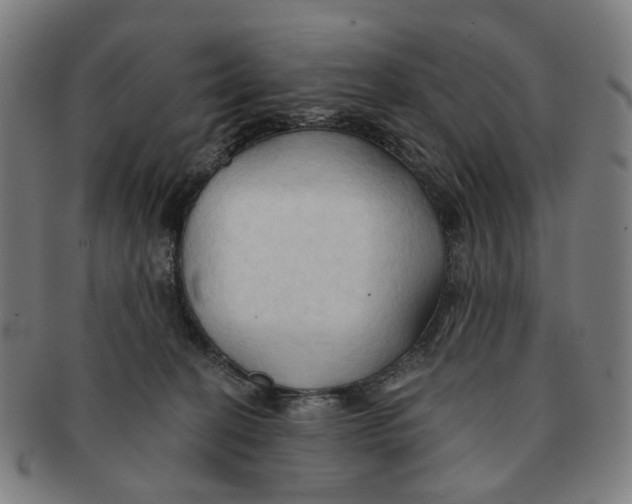X0000090980274200708301256