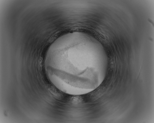 X0000090980275200708301256