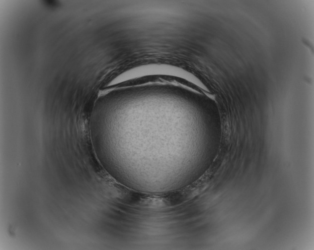 X0000090980276200708301256