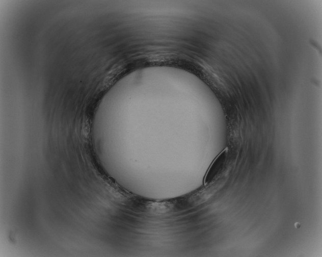 X0000090980277200708301256