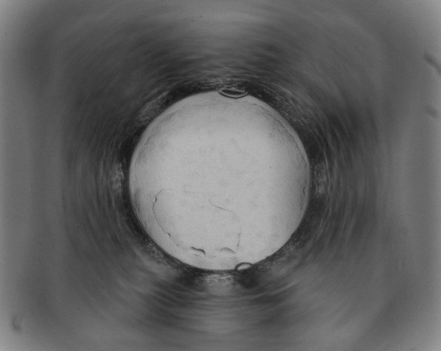 X0000090980279200708301256