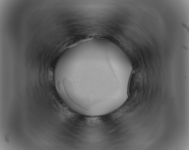 X0000090980281200708301256