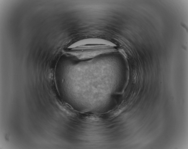 X0000090980284200708301256