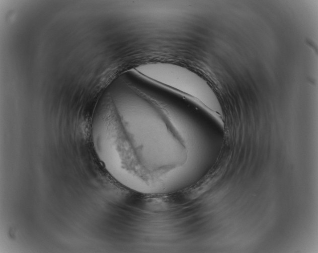 X0000090980285200708301256