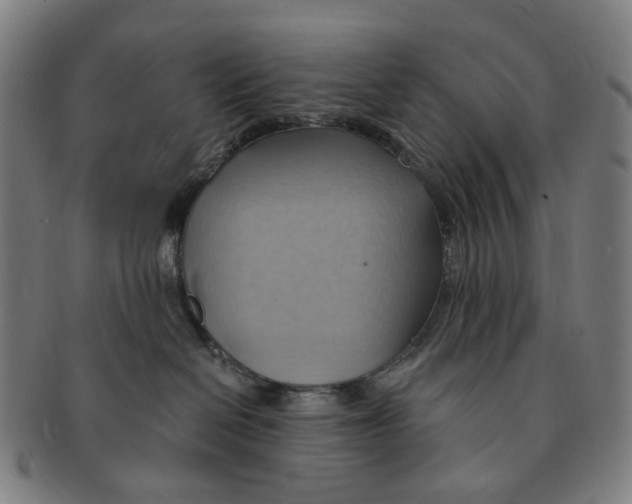X0000090980286200708301256