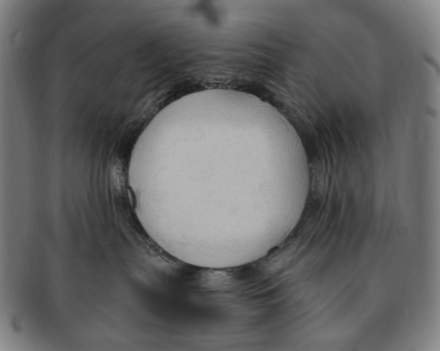 X0000090980287200708301256