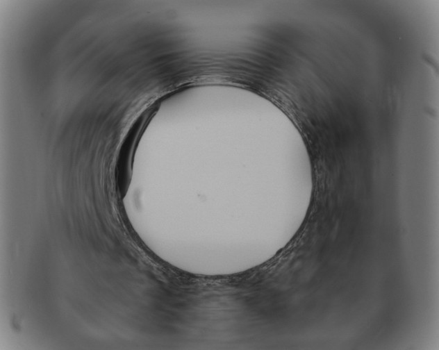 X0000090980289200708301255