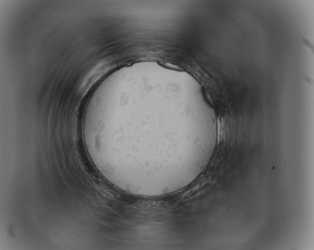 X0000090980291200708301255