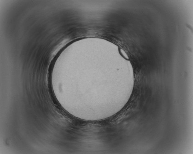 X0000090980292200708301255