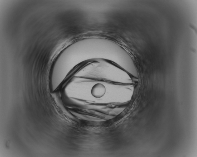 X0000090980293200708301255