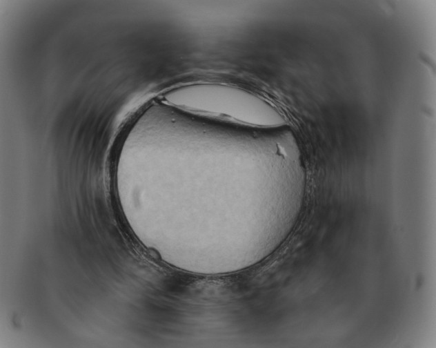 X0000090980294200708301255