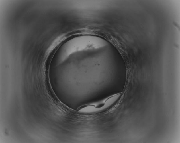 X0000090980295200708301255