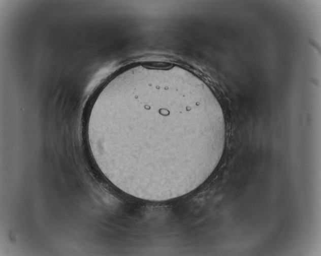 X0000090980296200708301255