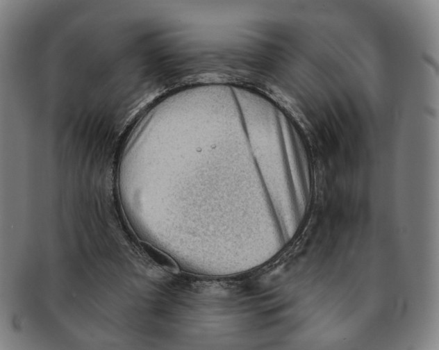 X0000090980297200708301255