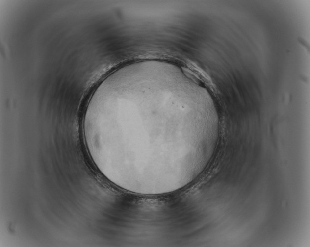 X0000090980298200708301255