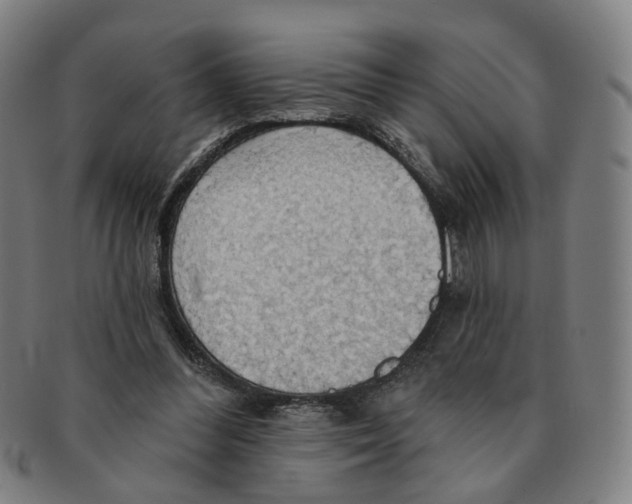 X0000090980300200708301255