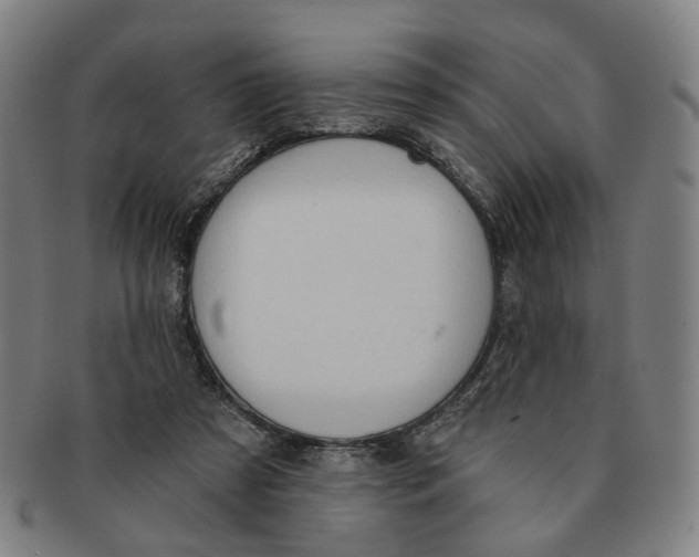 X0000090980305200708301255