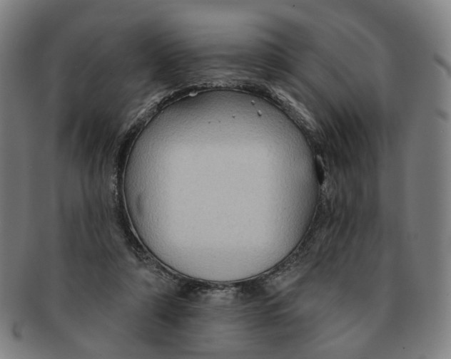 X0000090980306200708301255