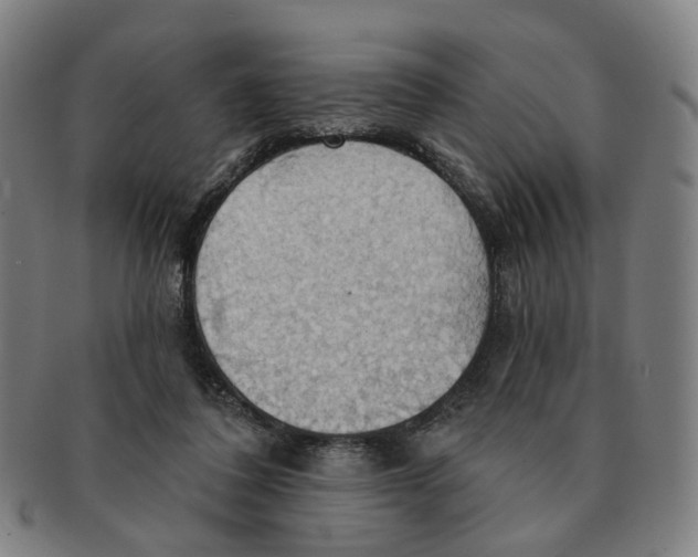 X0000090980308200708301255