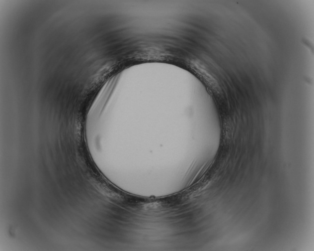 X0000090980309200708301255