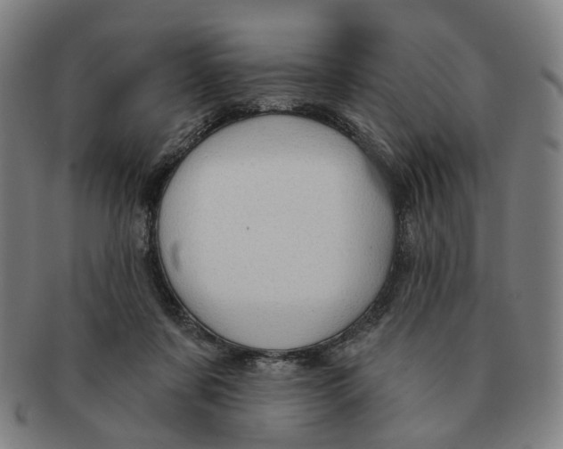 X0000090980311200708301255