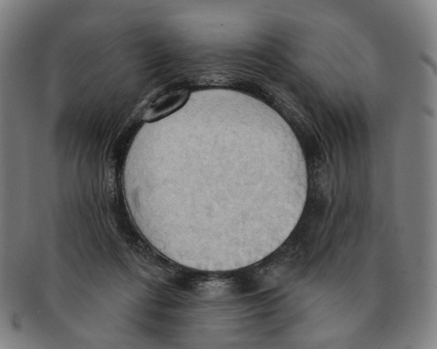 X0000090980312200708301255