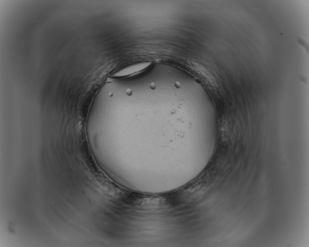 X0000090980314200708301255