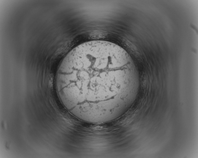X0000090980315200708301255