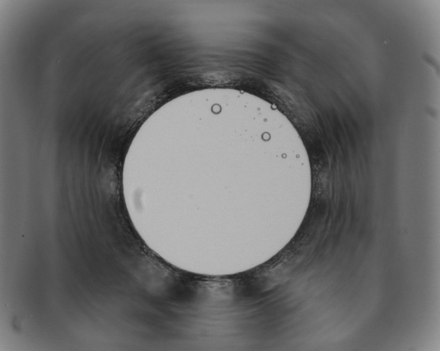 X0000090980317200708301255