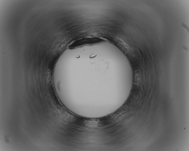 X0000090980318200708301255