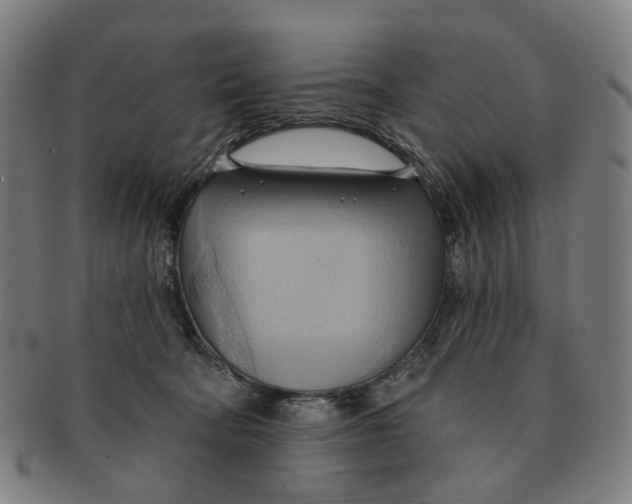 X0000090980322200708301255