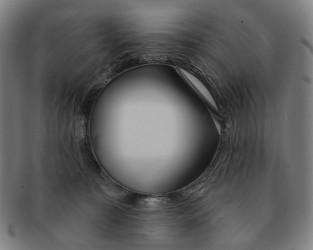 X0000090980323200708301255