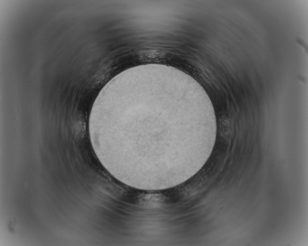 X0000090980324200708301255