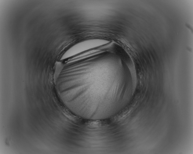 X0000090980325200708301255