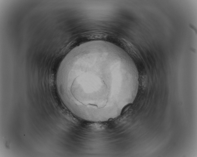 X0000090980326200708301255