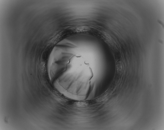 X0000090980327200708301255