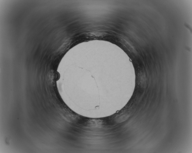 X0000090980328200708301255