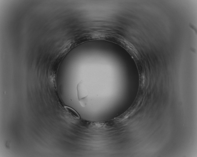 X0000090980329200708301255