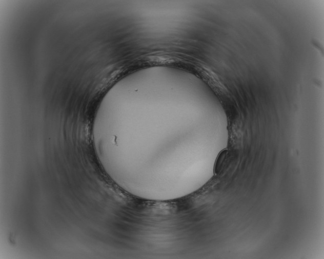 X0000090980330200708301255