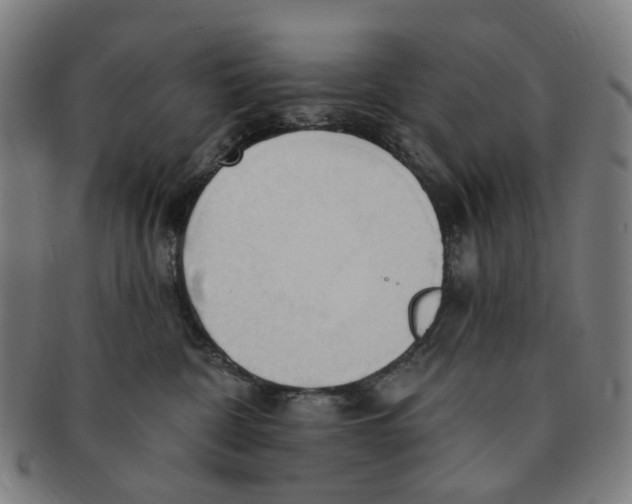 X0000090980332200708301255