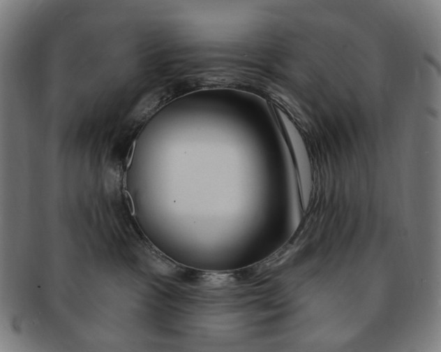 X0000090980333200708301255