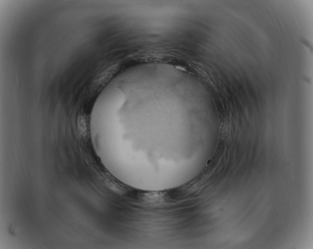 X0000090980335200708301255