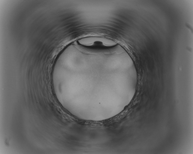 X0000090980337200708301254