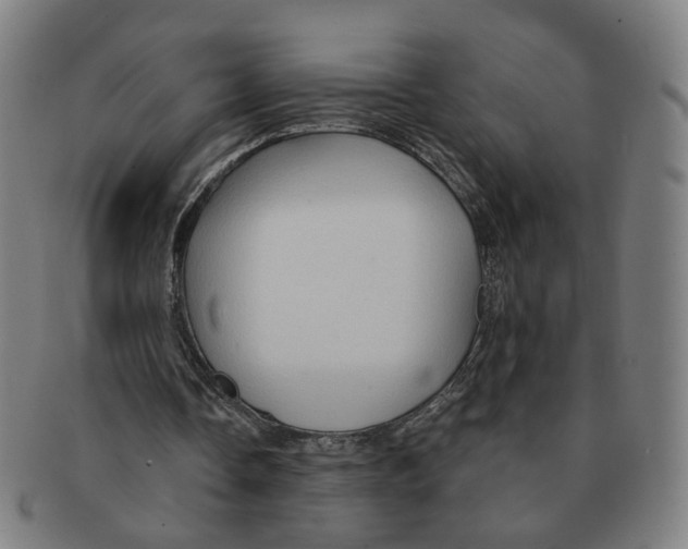 X0000090980338200708301254